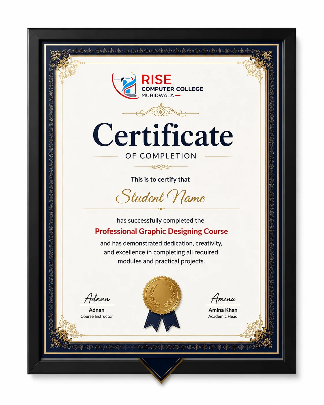 Framed professional course certificate